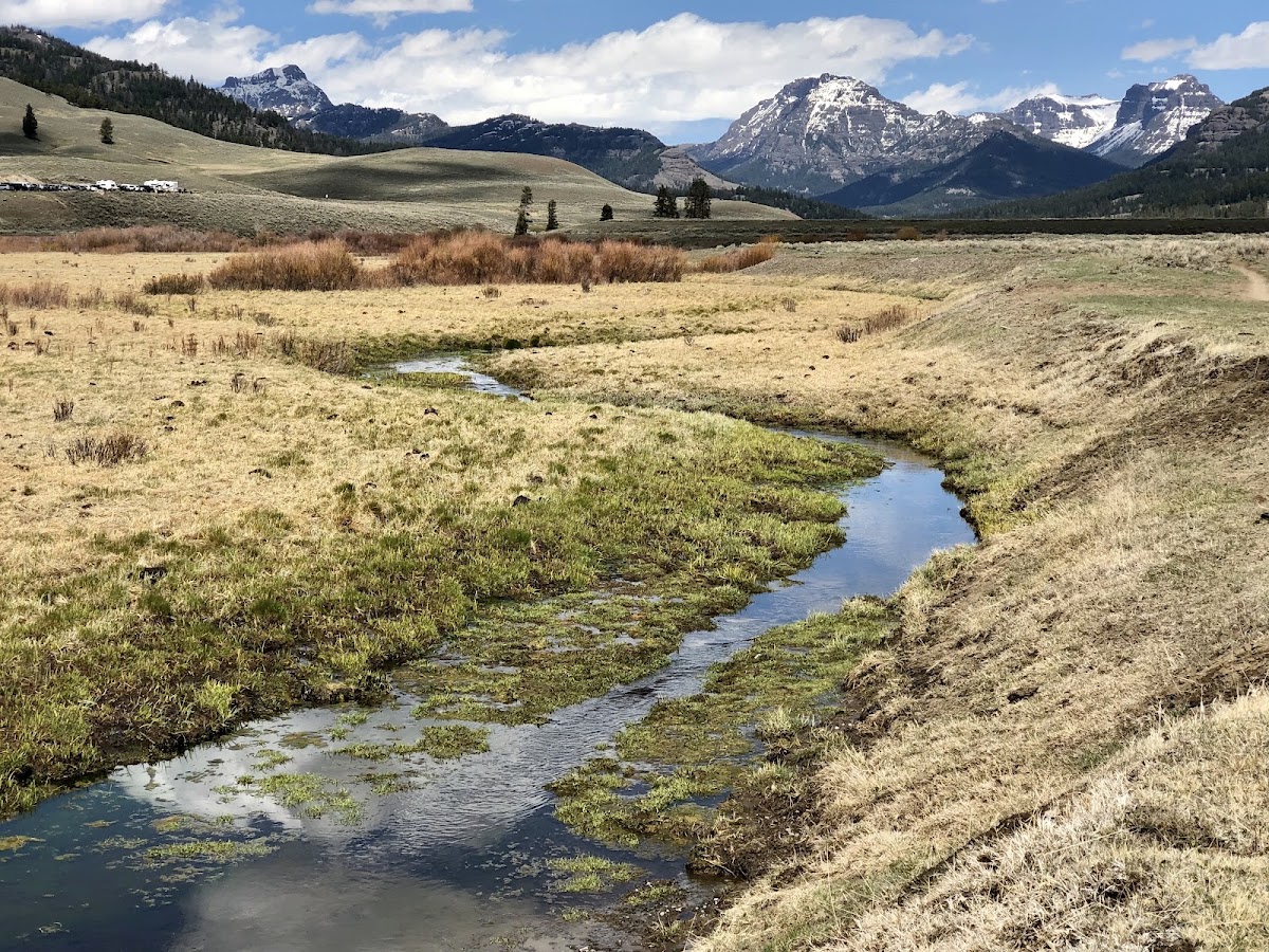 Soda Butte Creek