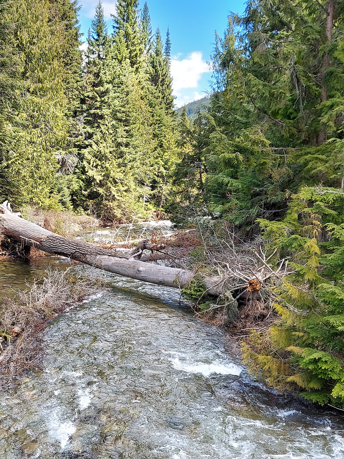 Libby Creek