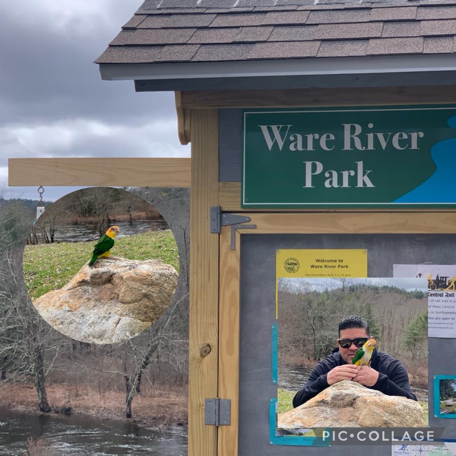 Ware River