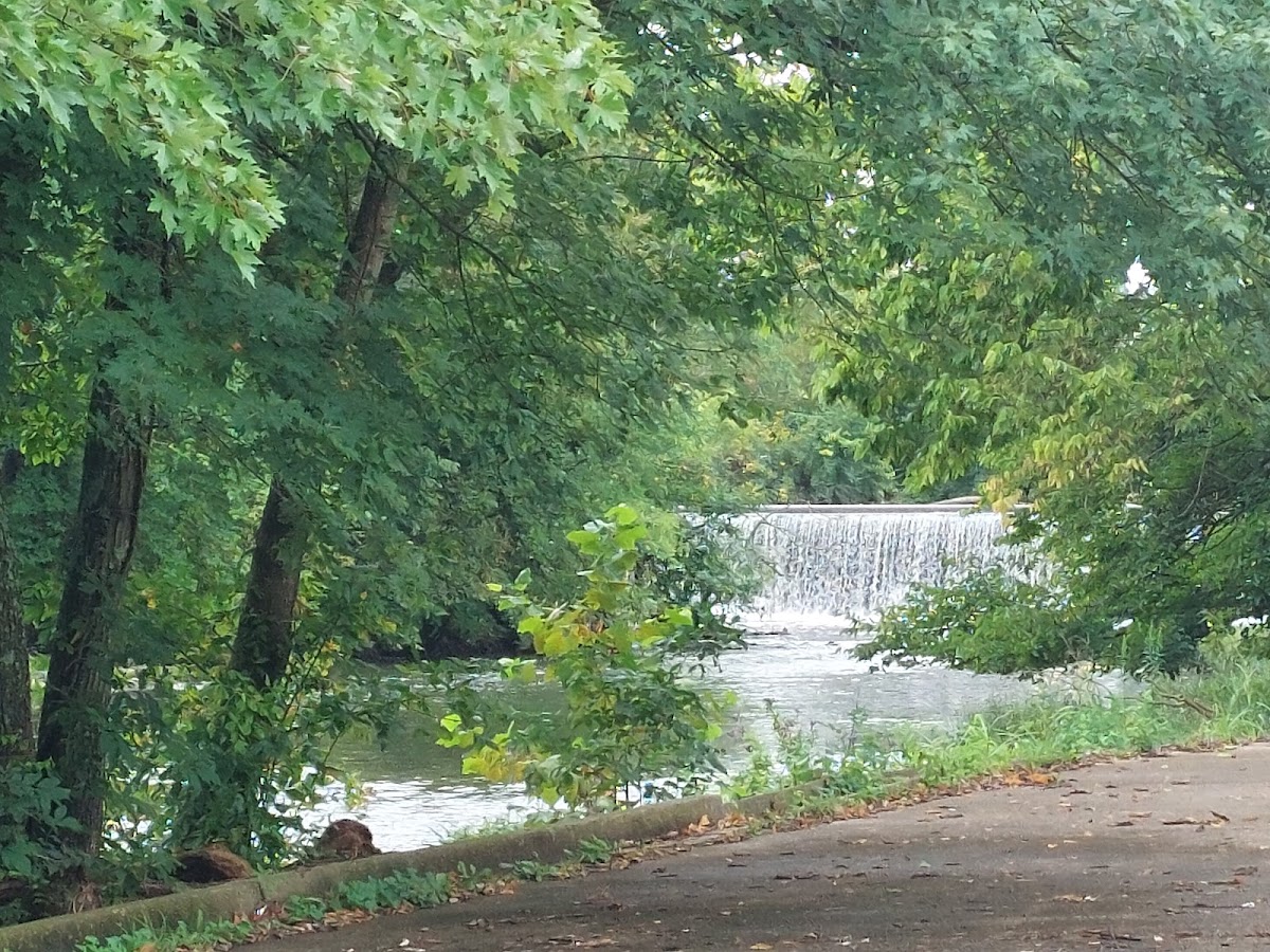 North Elkhorn Creek