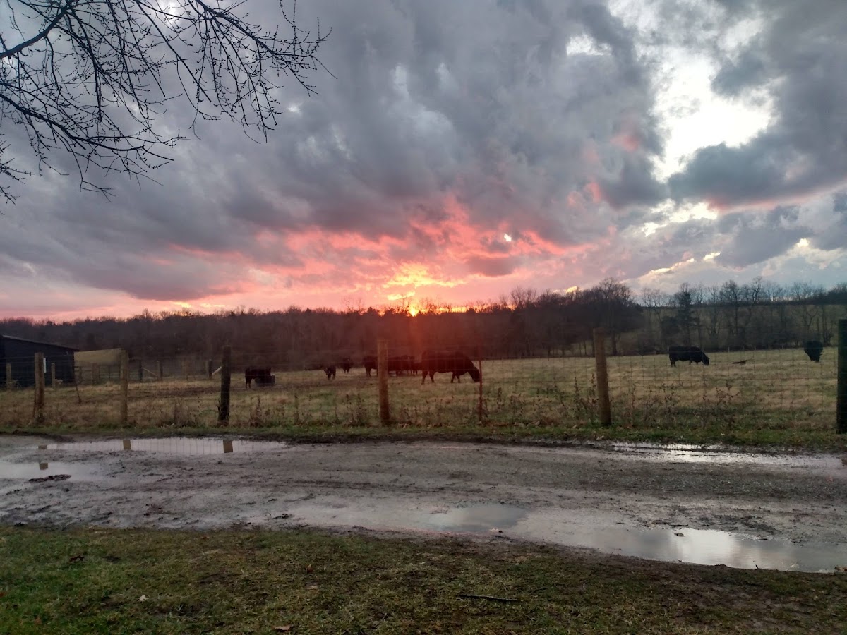 South Elkhorn Creek