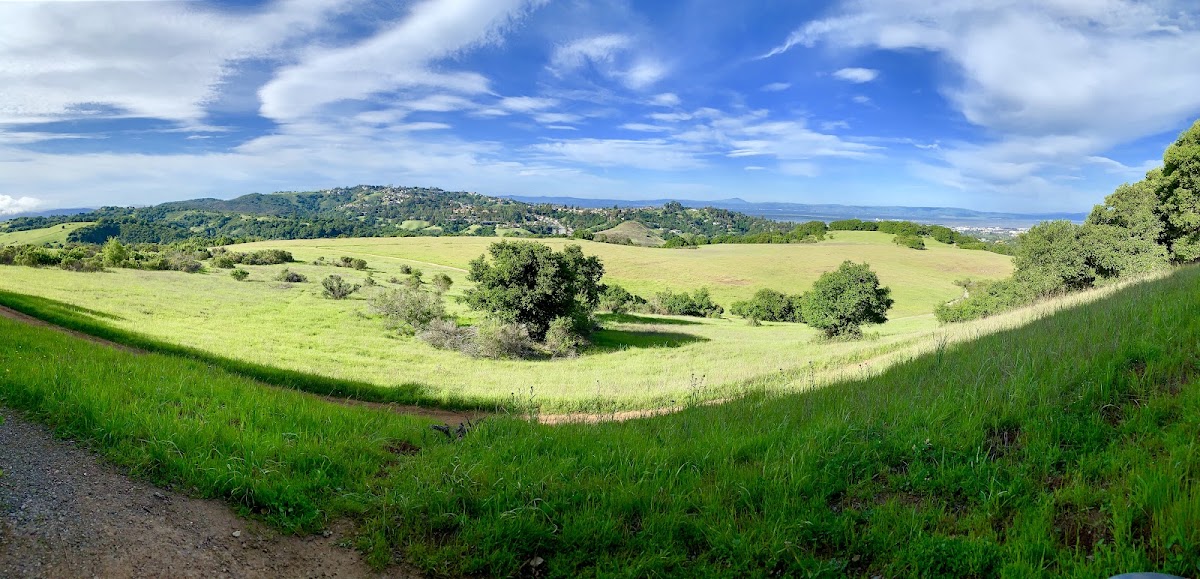Edgewood Trail