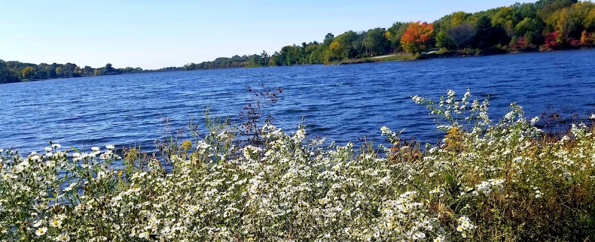 Prairie Rose State Park