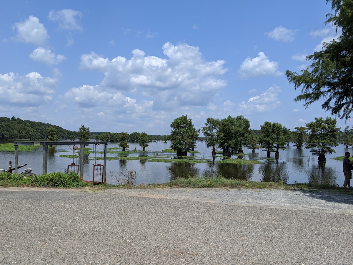 Flag Lake