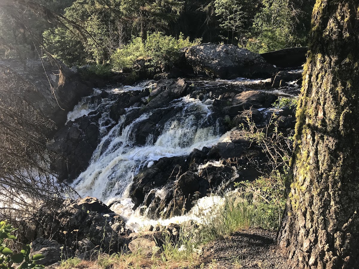 Little Salmon River