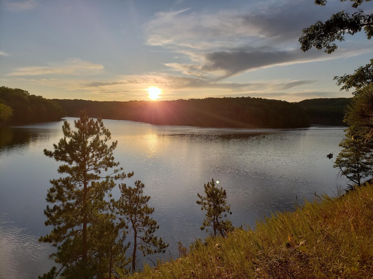 Tippy Dam Pond