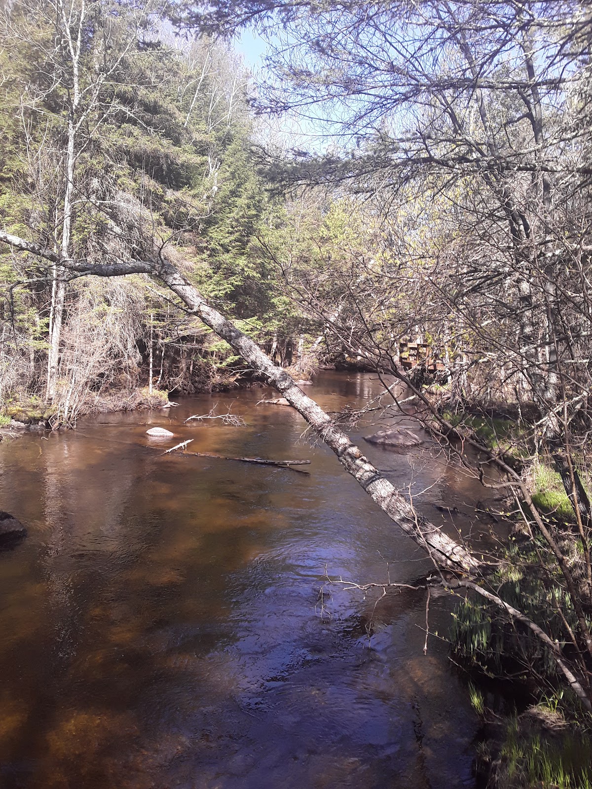 South Branch Oconto River