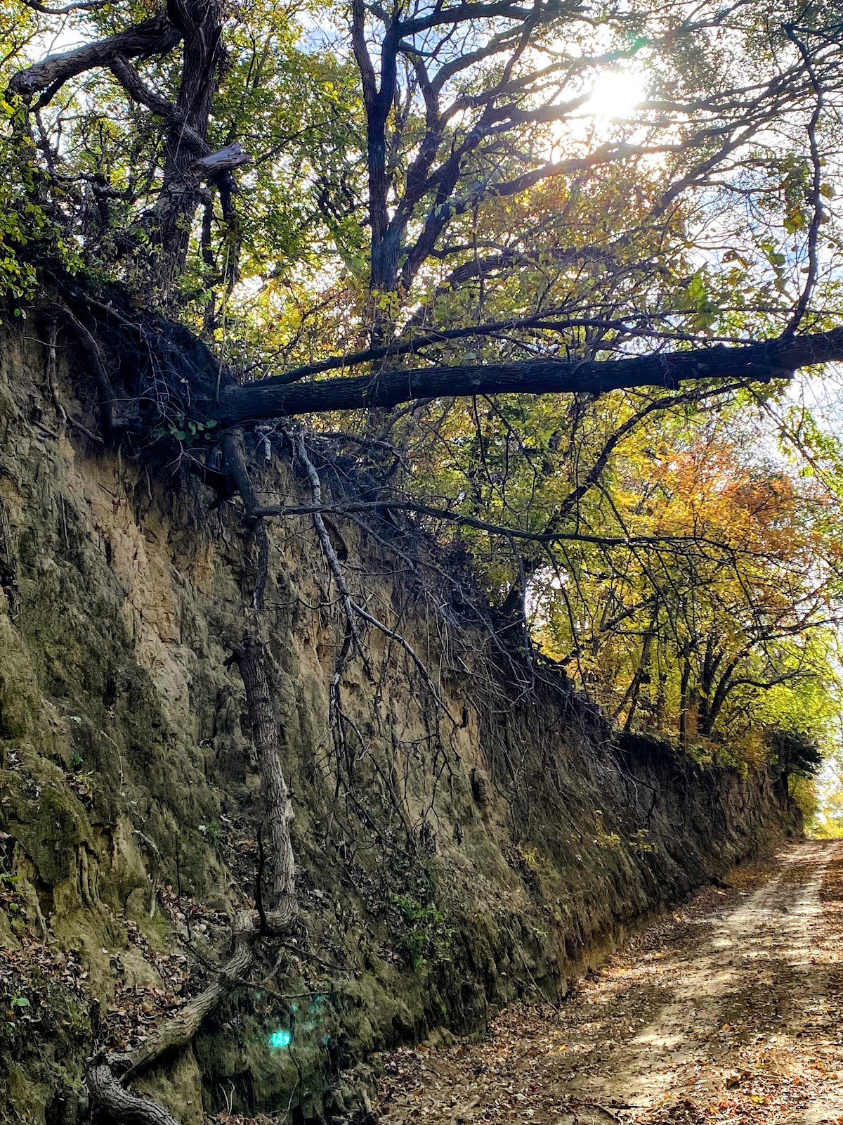 Loess Hills State Forest Pisgah Unit