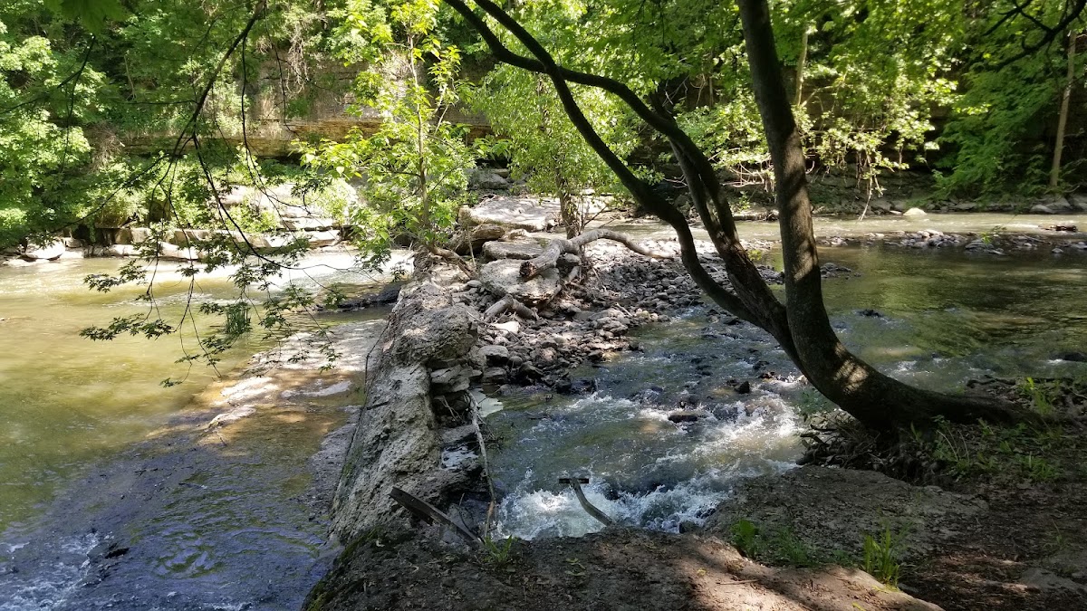 Honeoye Creek