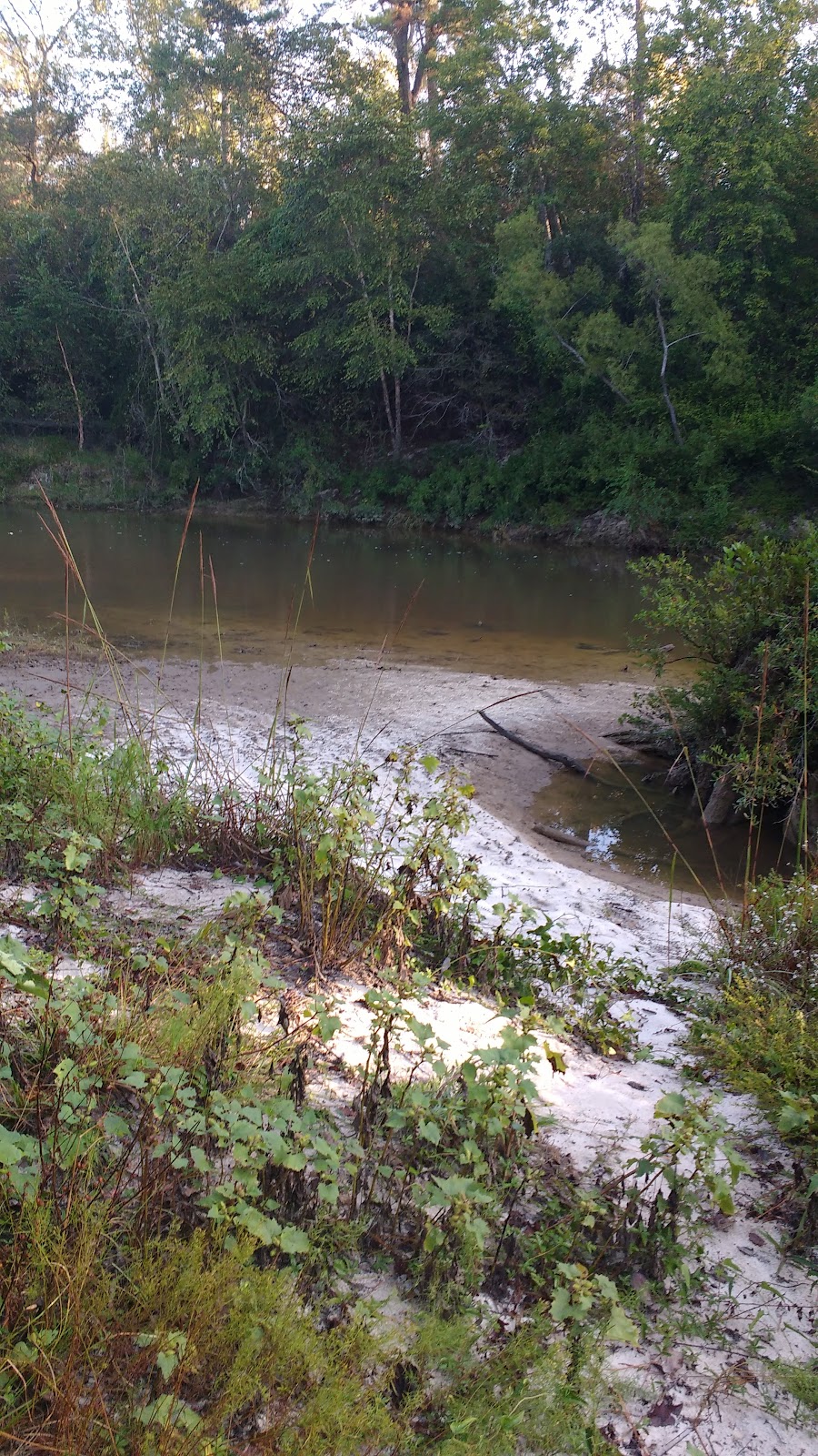 Biloxi River
