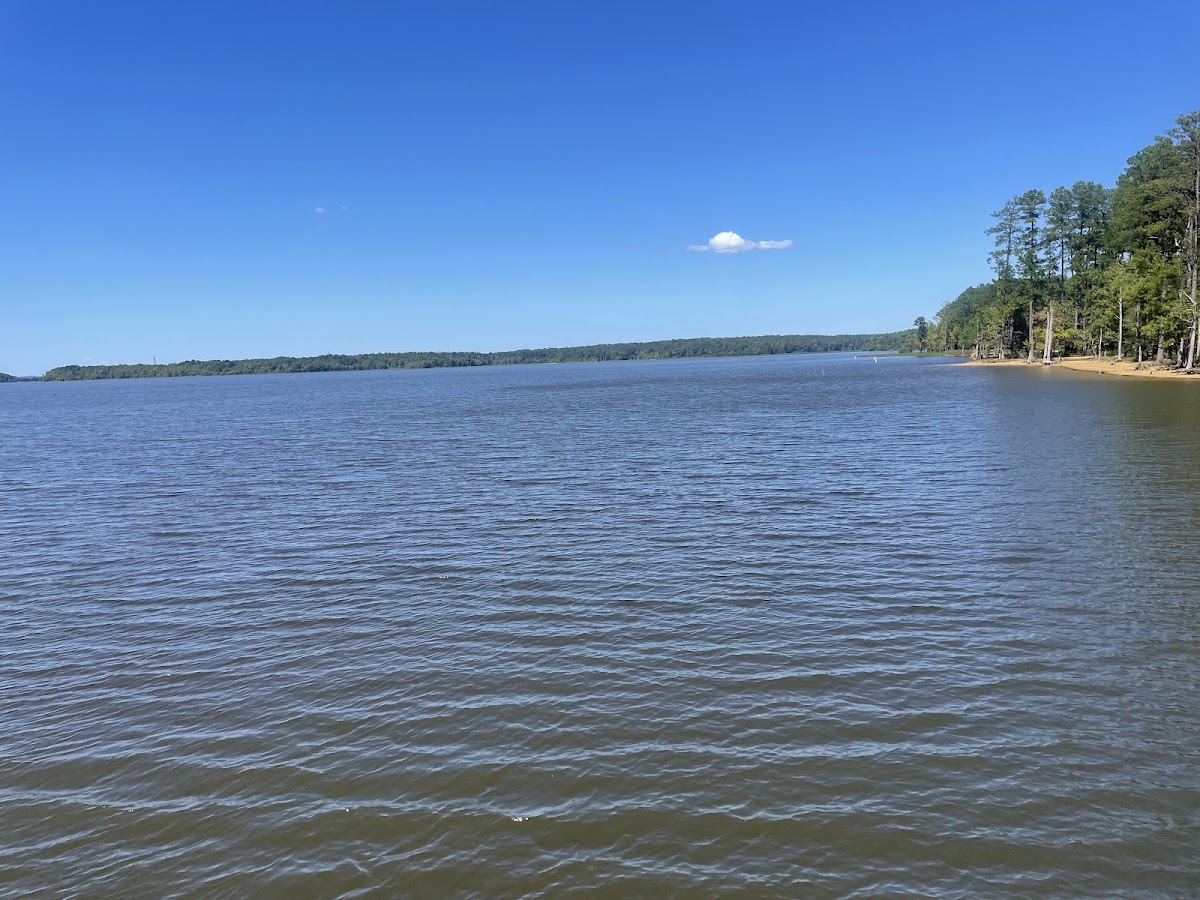Falls Lake