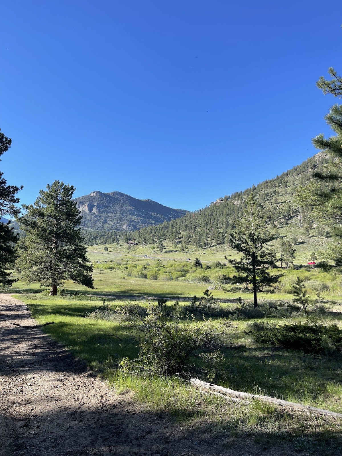 South Lateral Moraine Trail