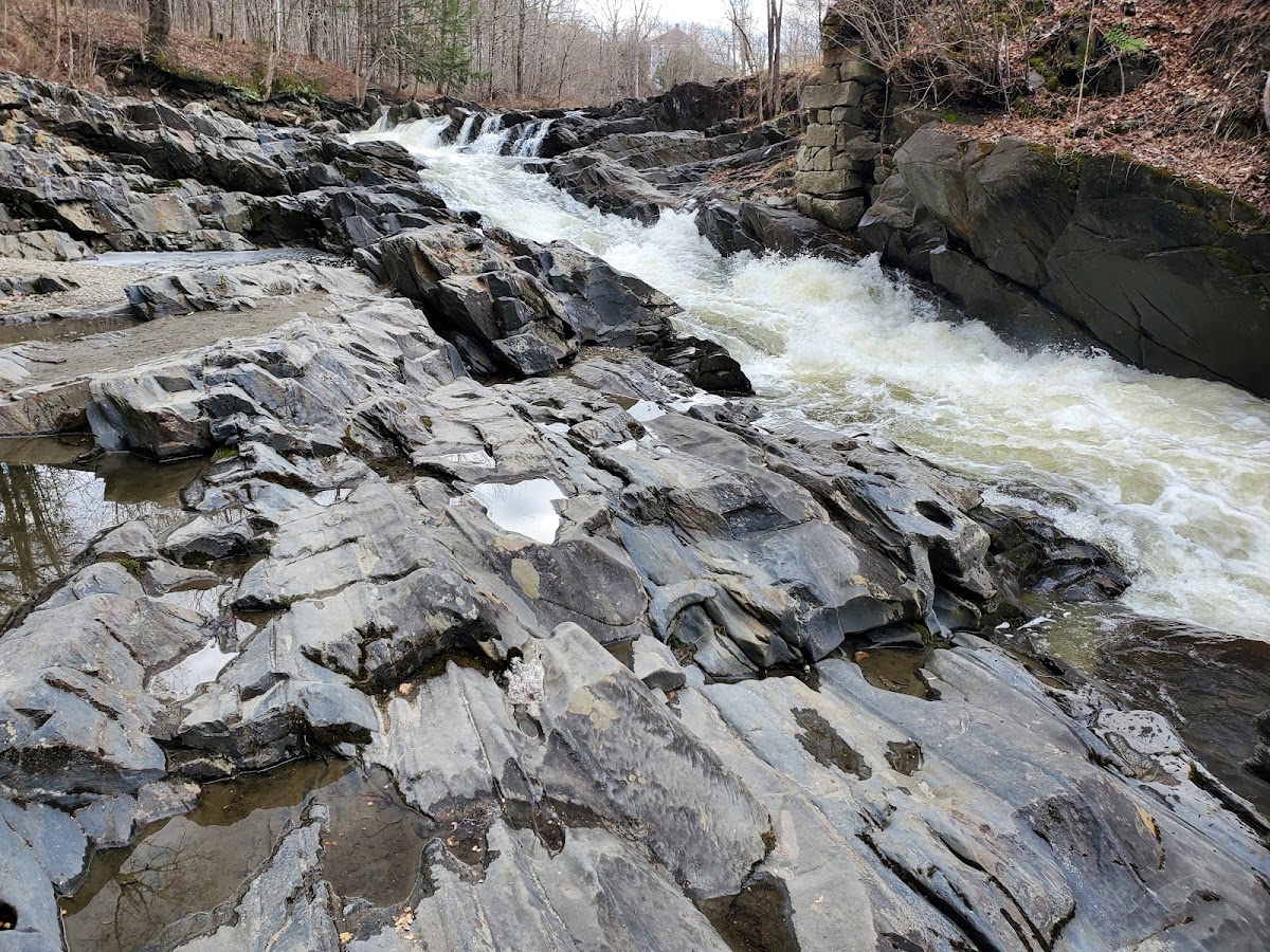 Willougby River