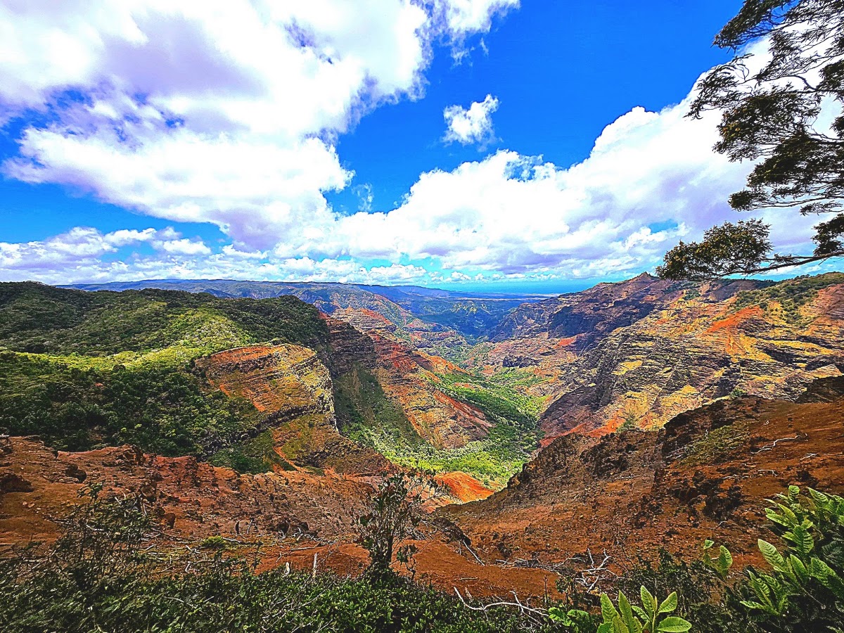 Waimea Canyon Trail