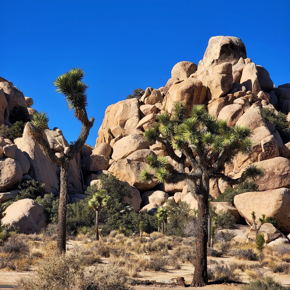 Hidden Valley Trail