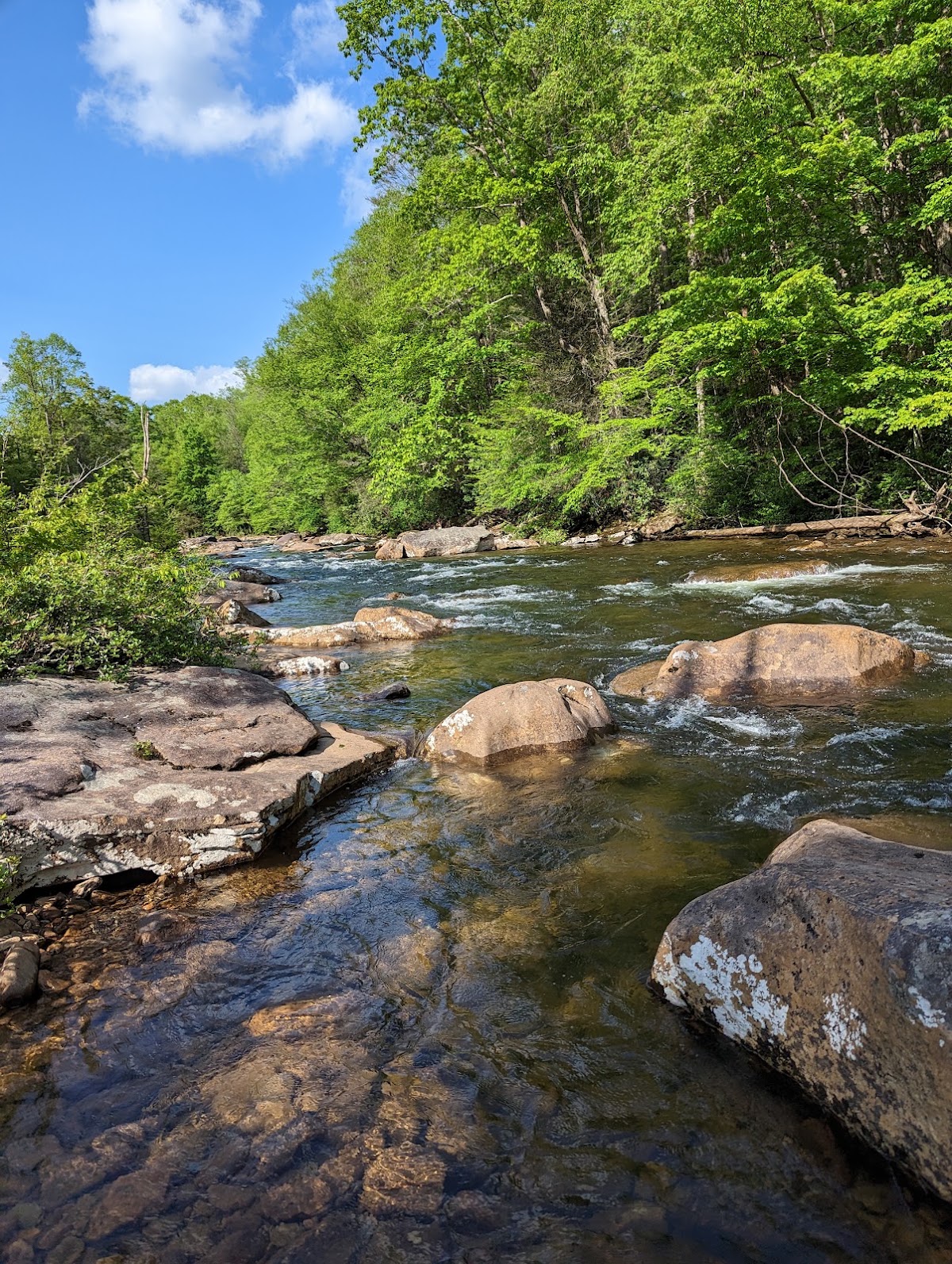 Cranberry River