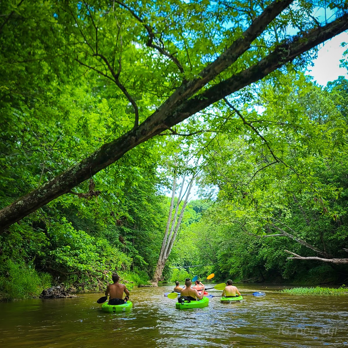 Dunkard Creek