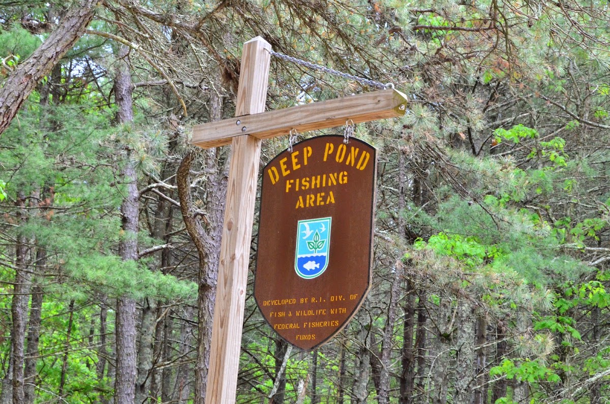 Deep Pond trail