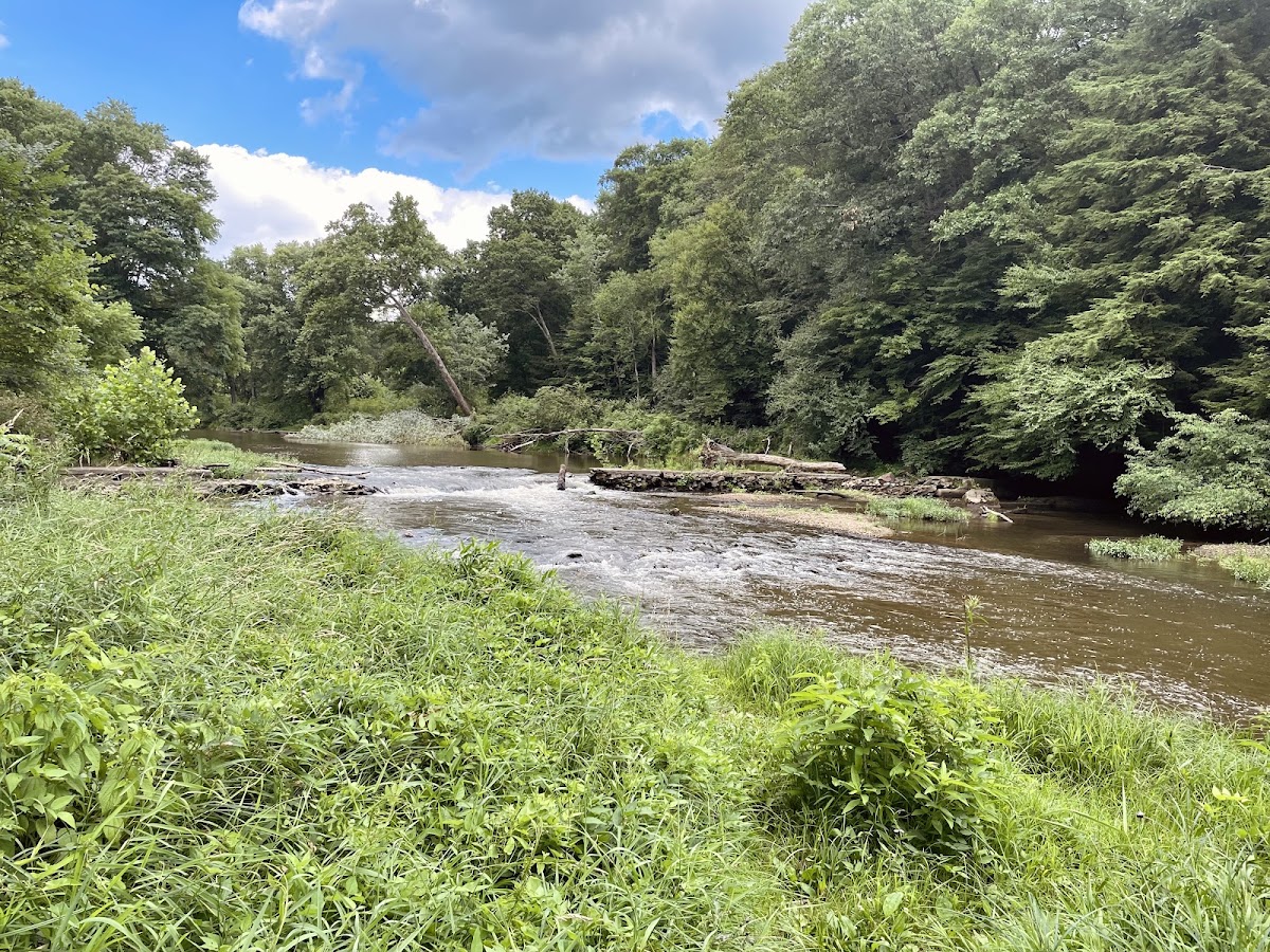 Neshannock Creek