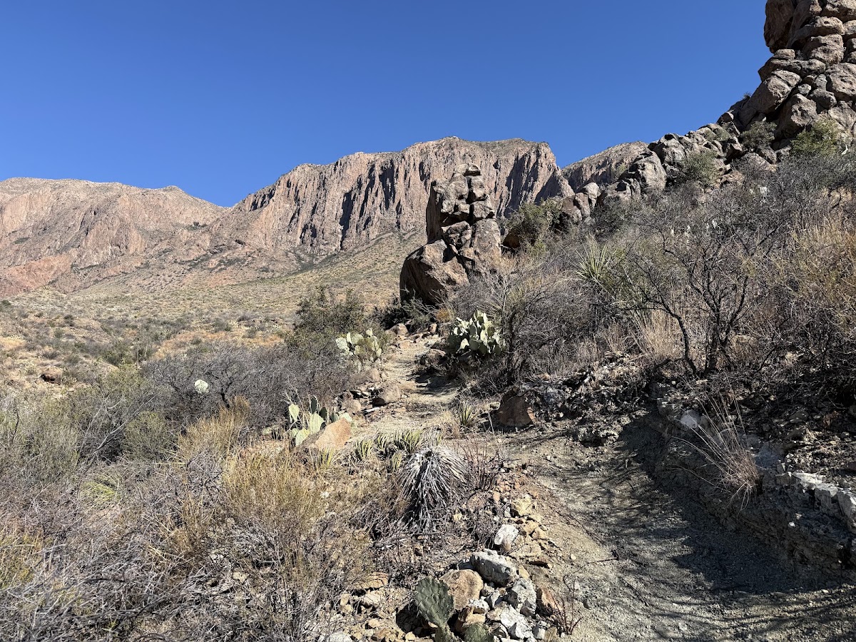 Ward Spring Trail