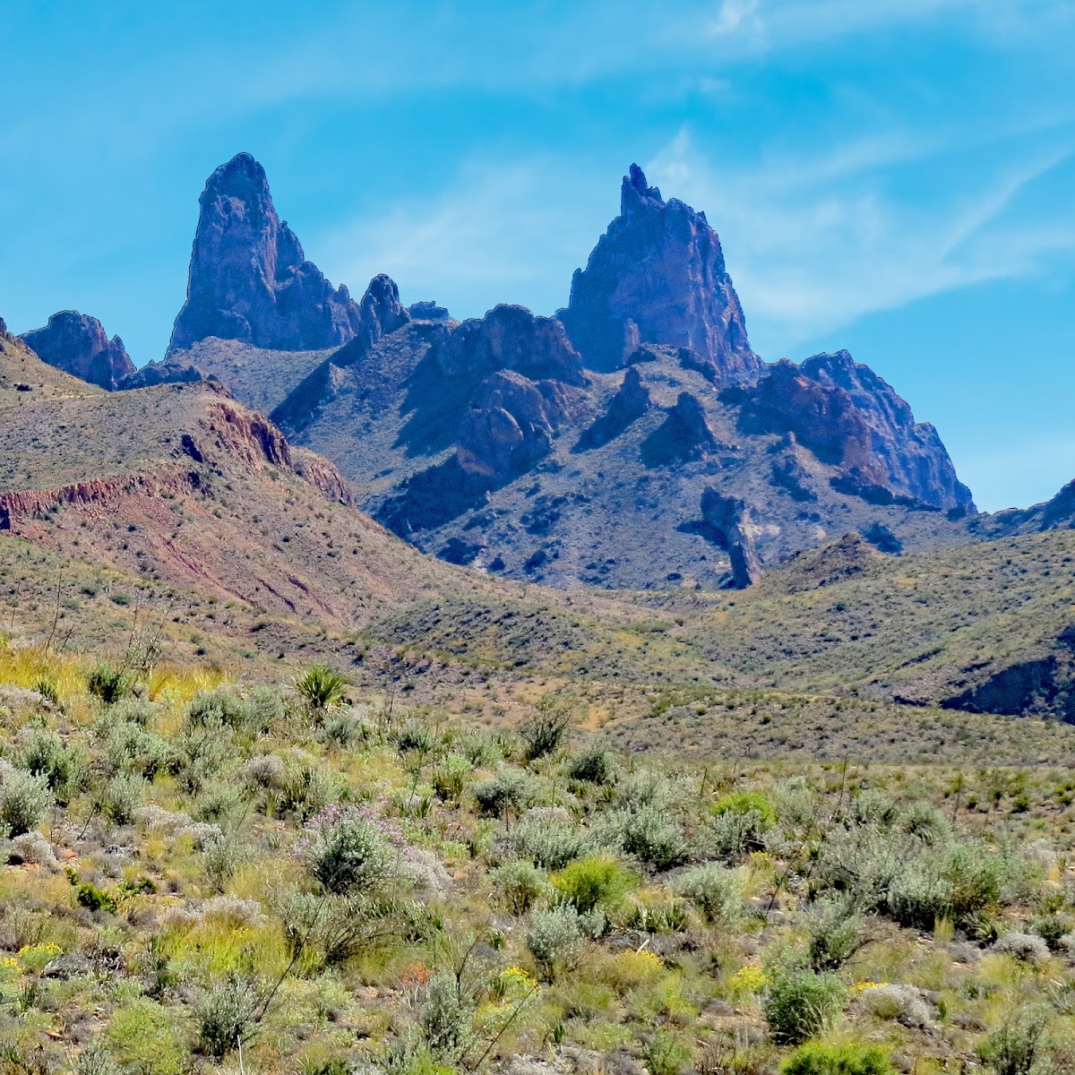 Mule Ears Trail