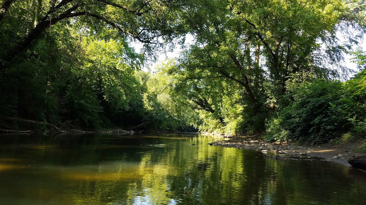 Little Coal River