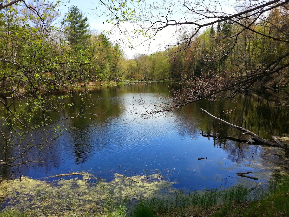 Long Lake