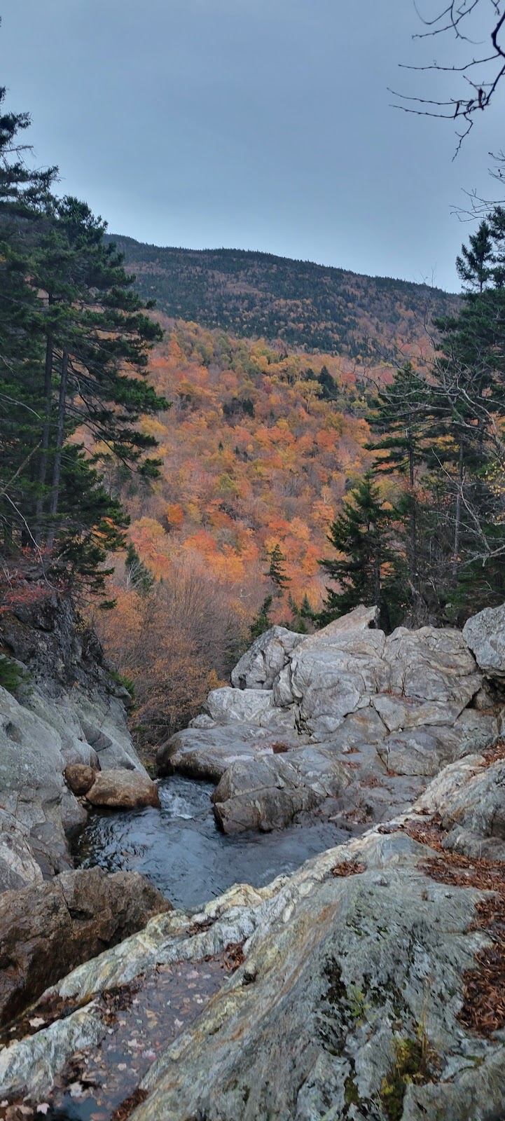 Ellis River