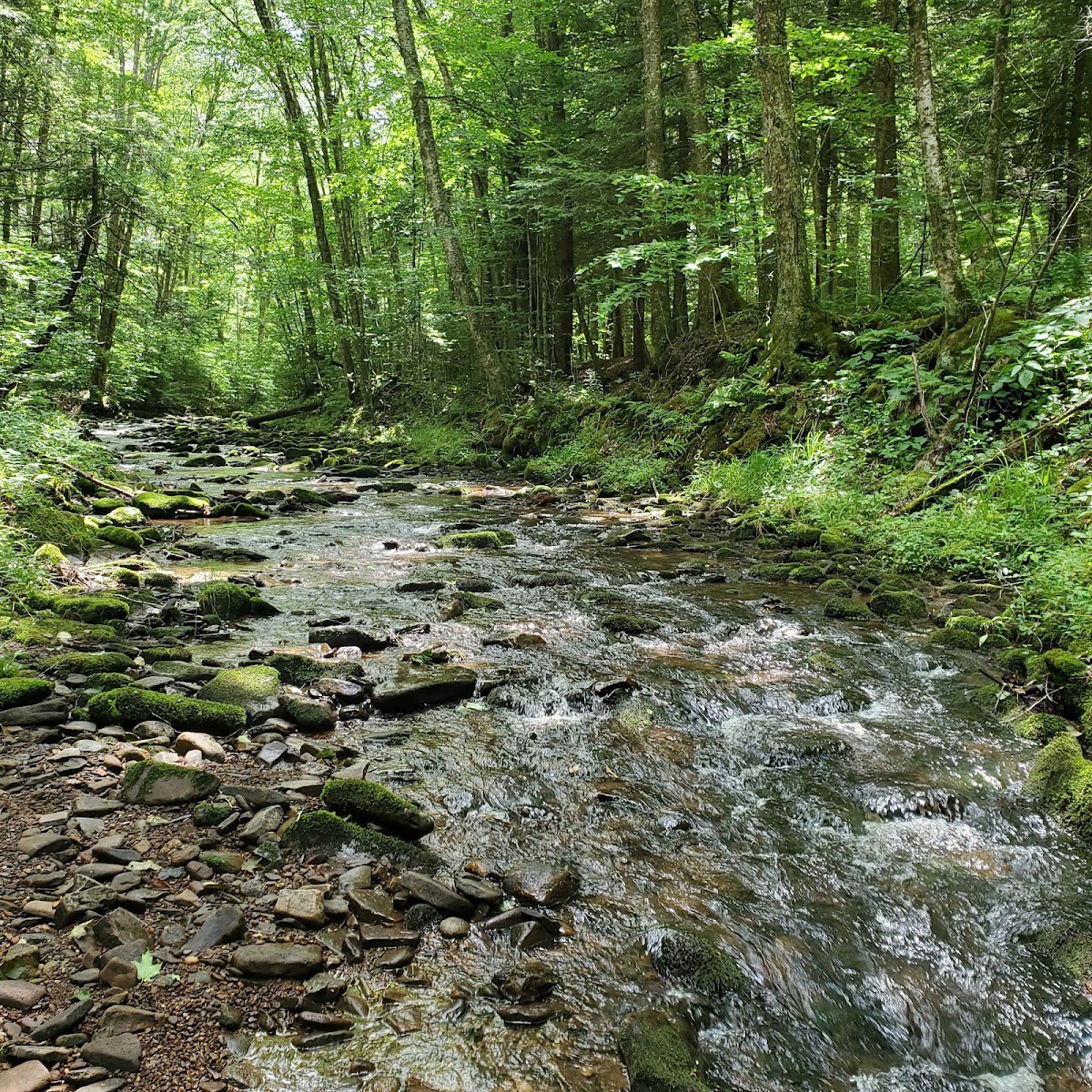Seneca Creek