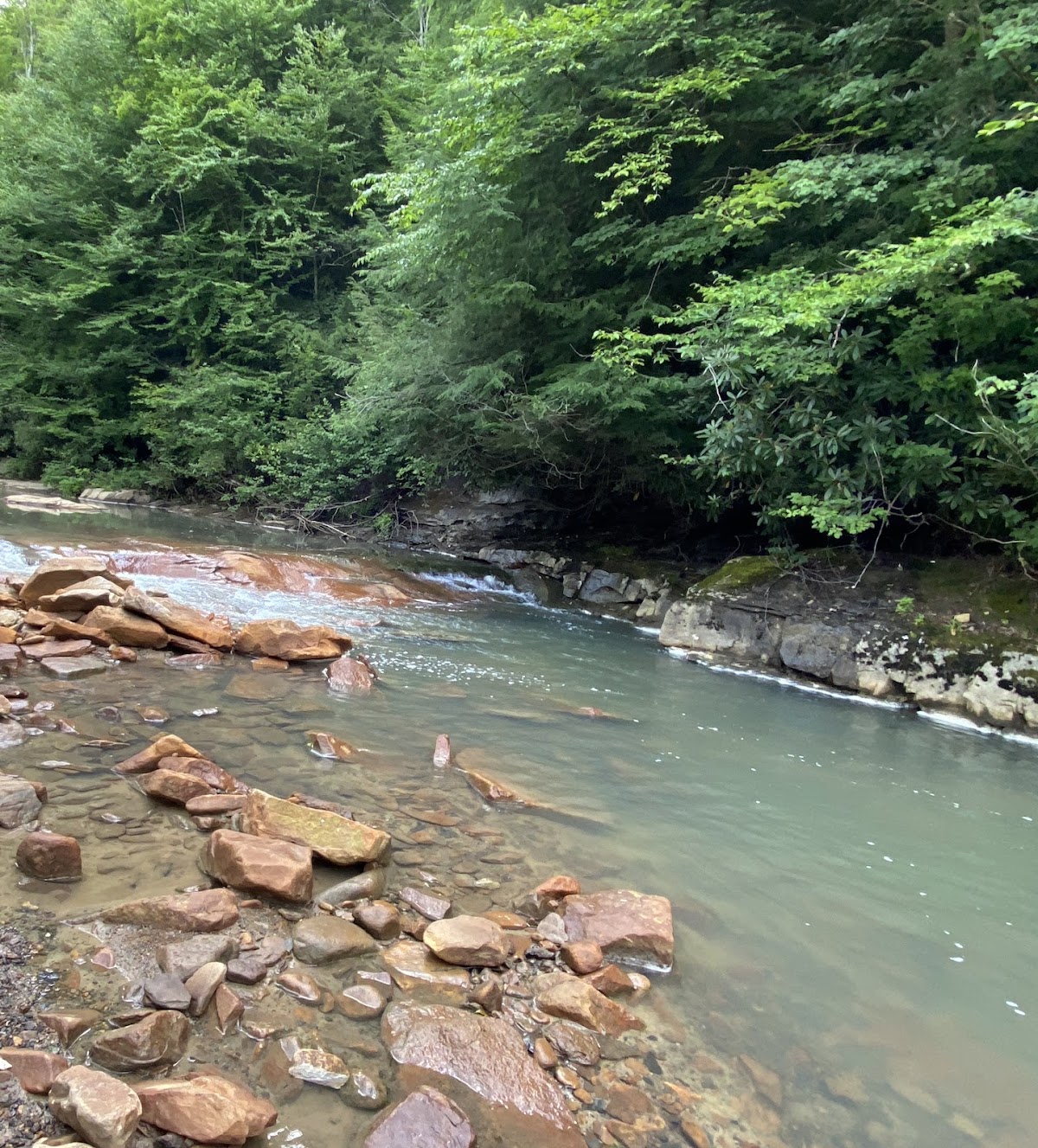 North Fork Blackwater River
