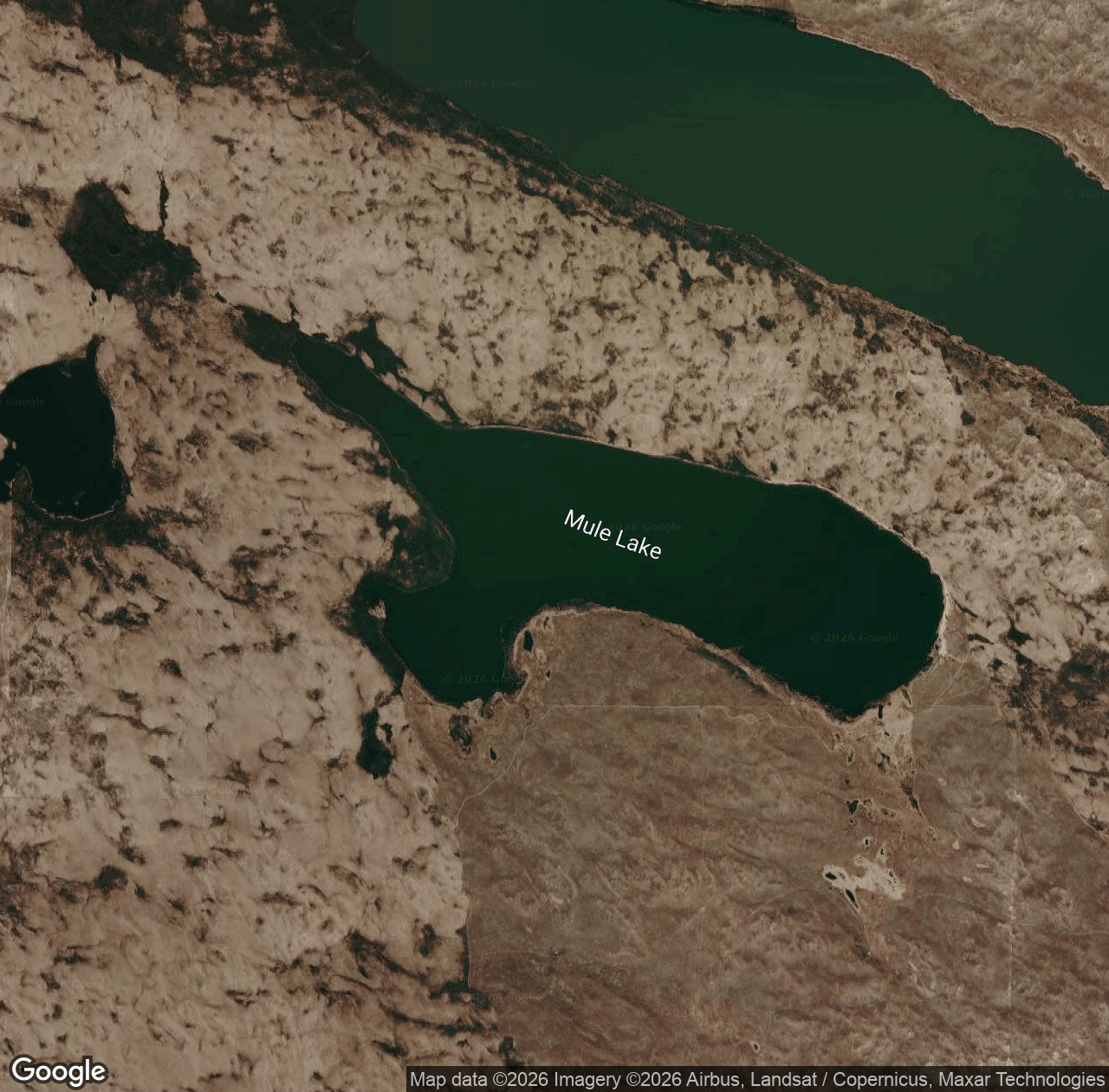 Mule Lake