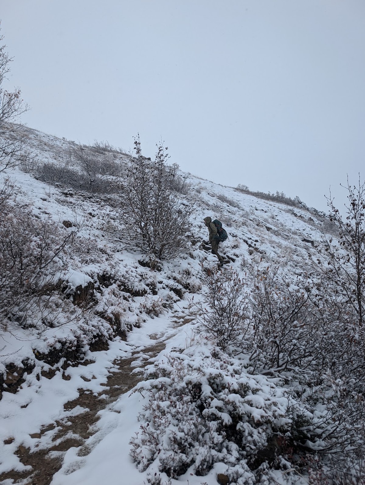 Mt. Healy Trail