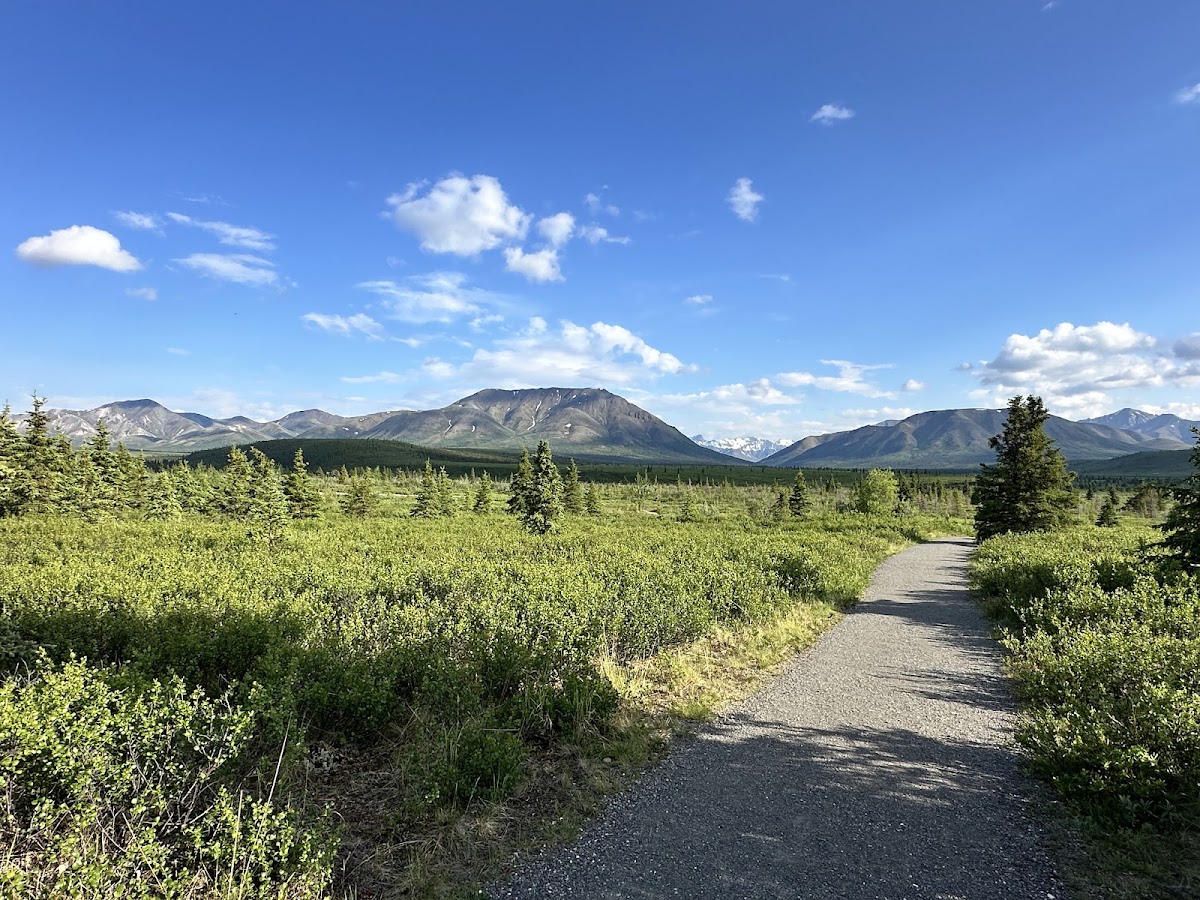 Mountain Vista Trail