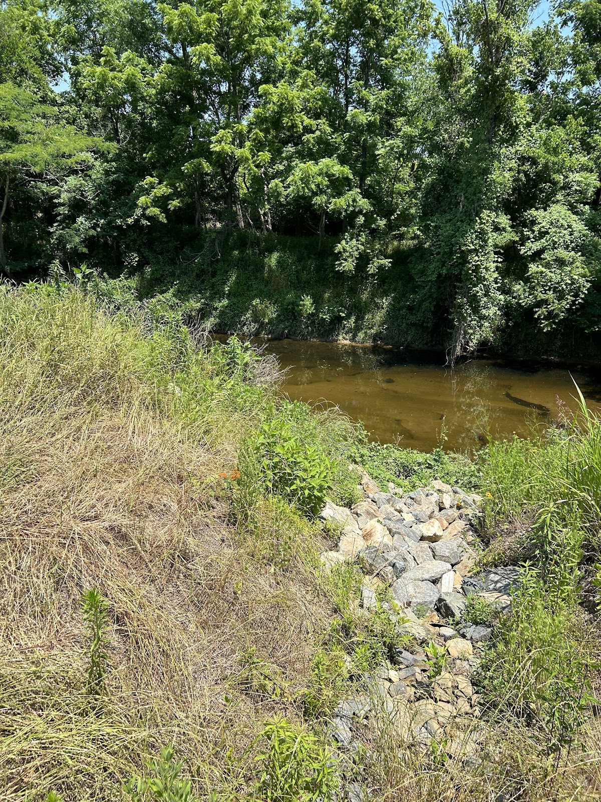 Little Sugar Creek
