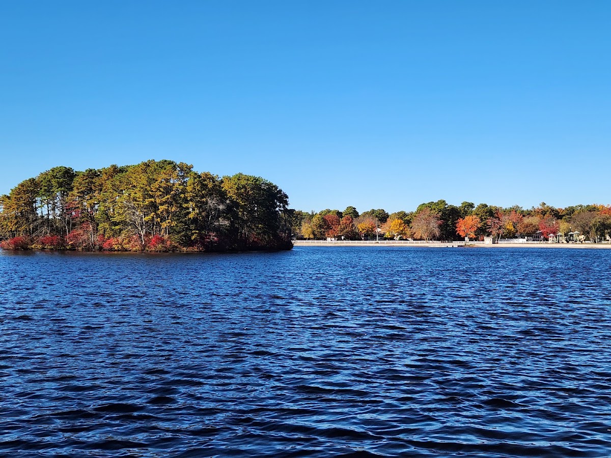 Pine Lake