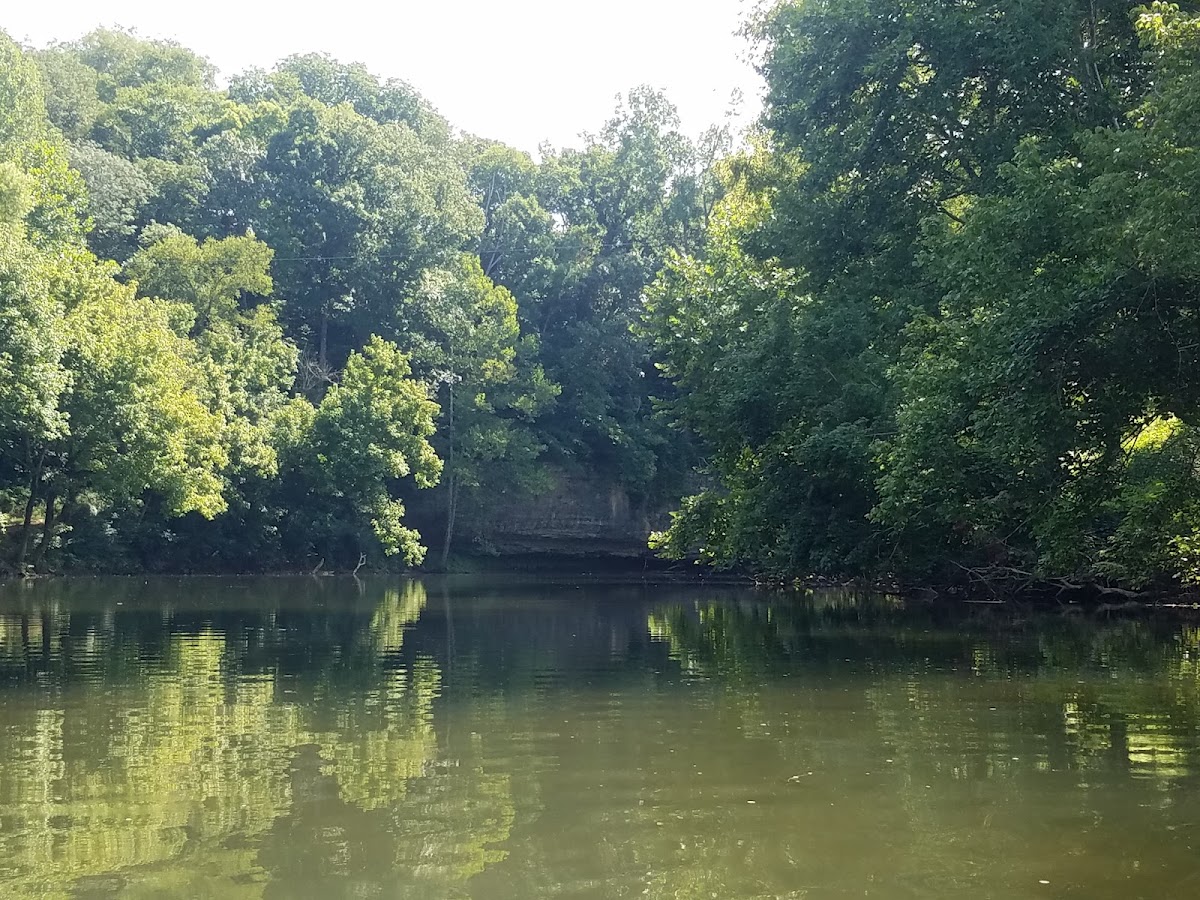 Barren Fork River
