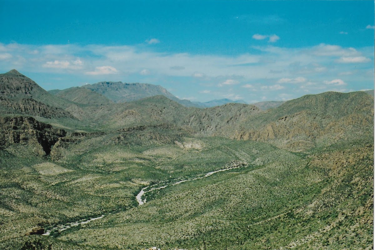 Marufo Vega Trail