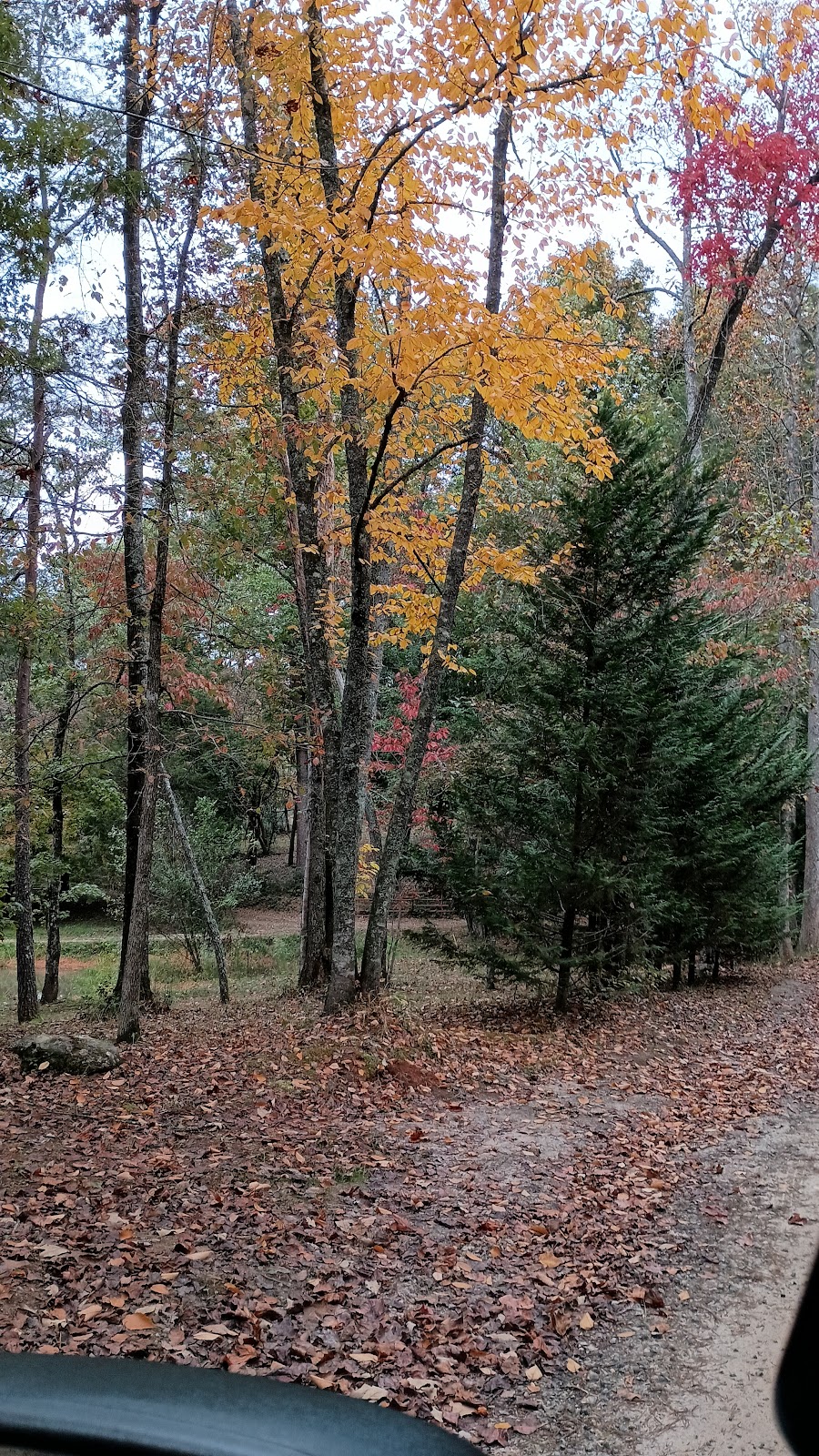 Sandy Ford Road