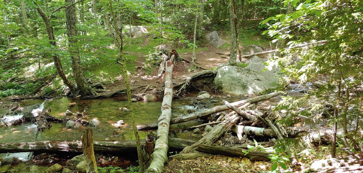 Wonalancet River