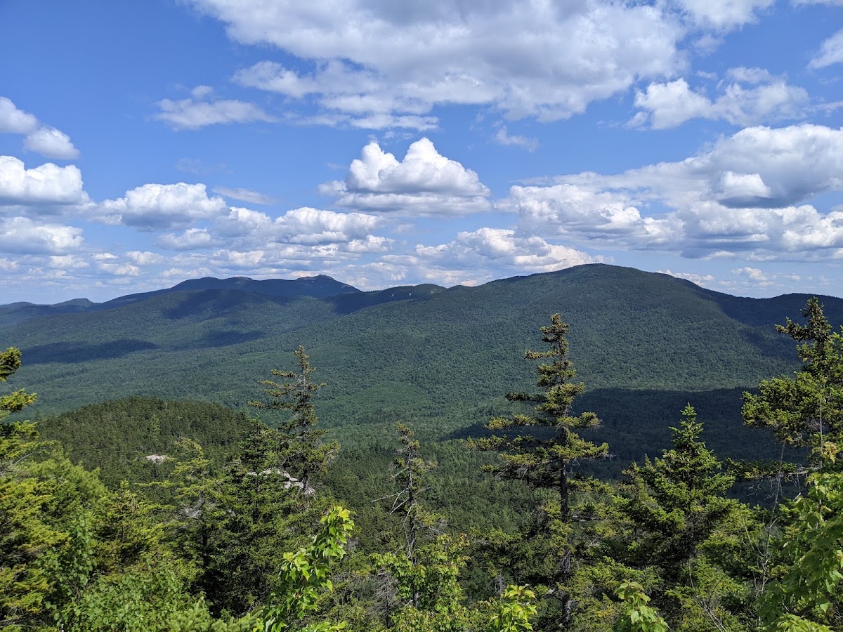 Downes Brook Trail