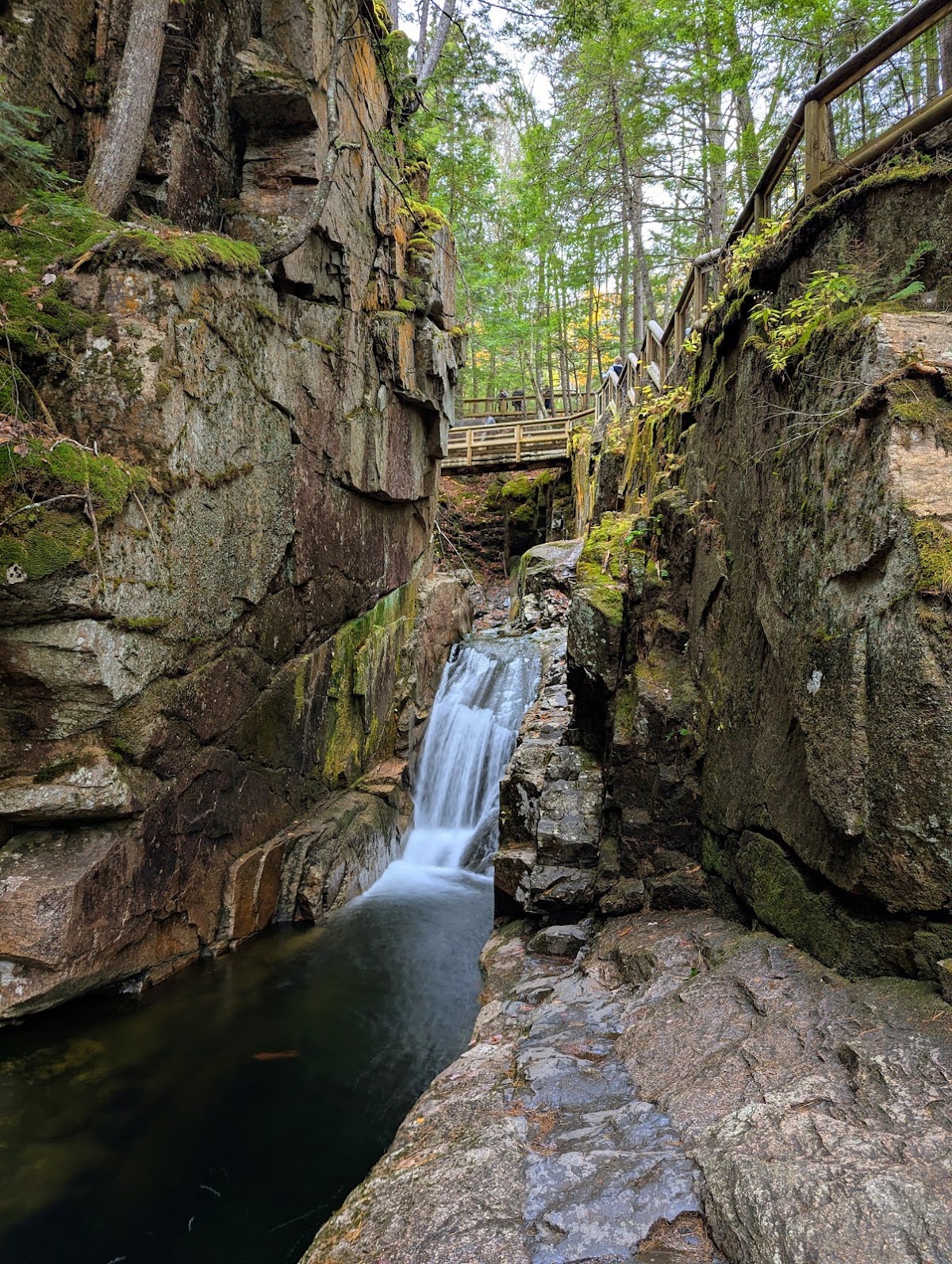Sabbaday Brook Trail