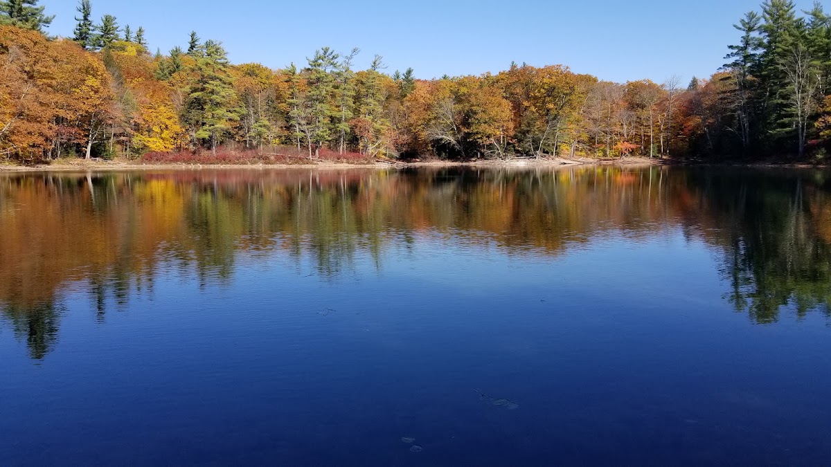 Bolles Trail