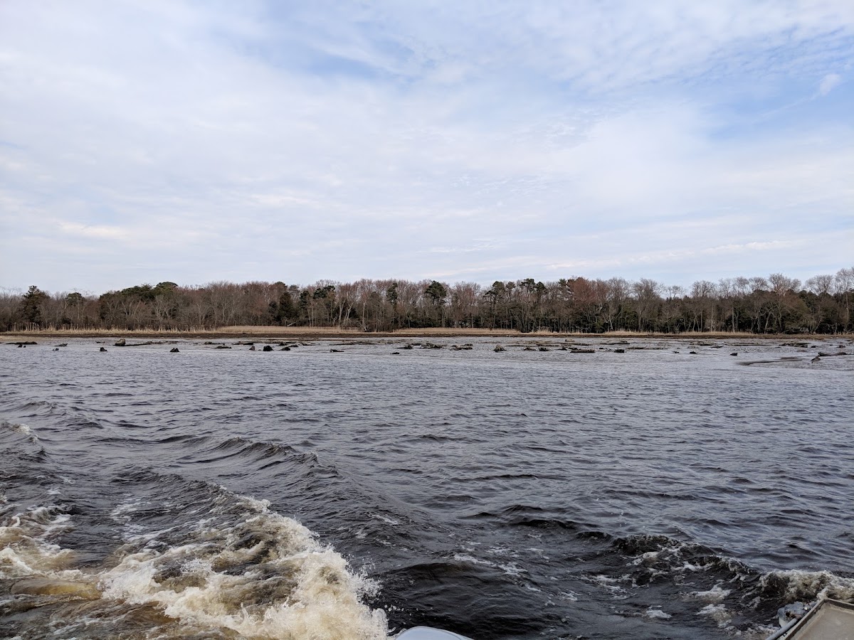 Maurice River