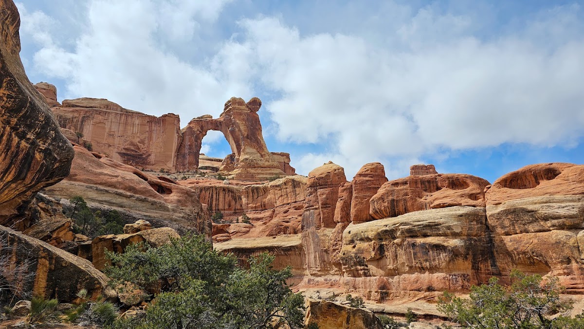 Salt Creek Canyon Trail