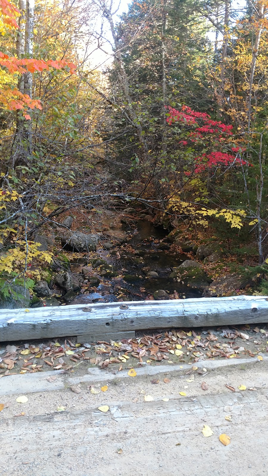 Wildcat River Trail