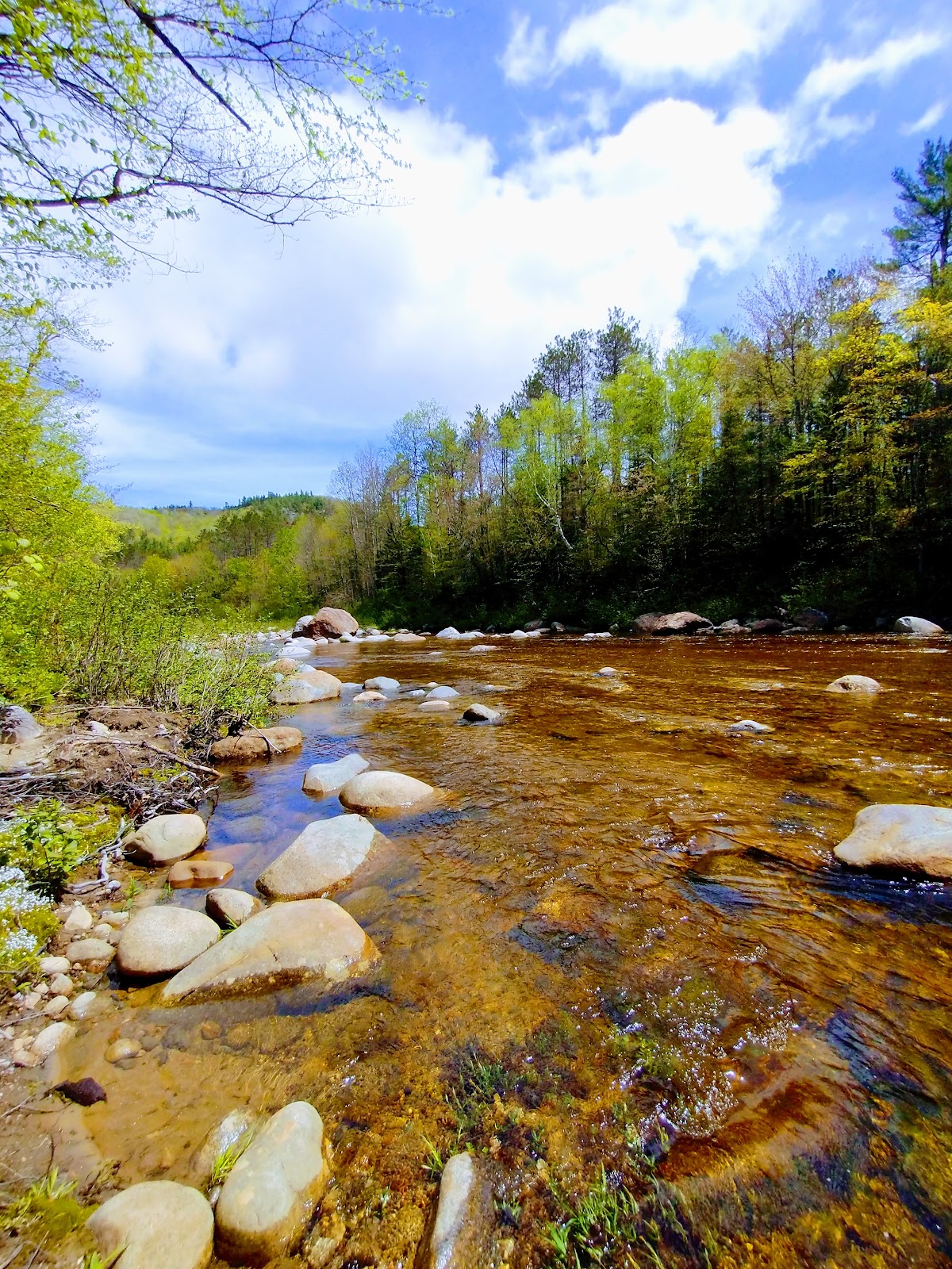 Highwater Trail