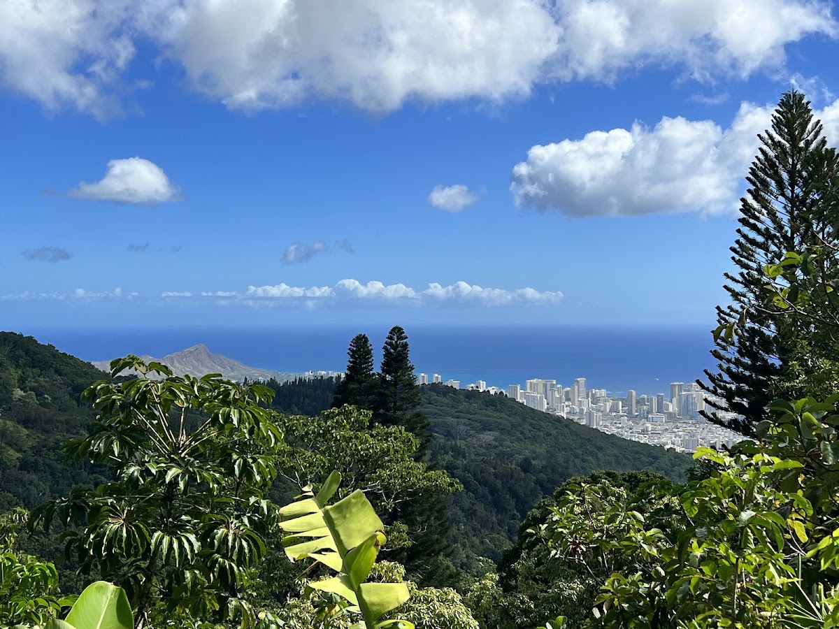 Kalawahine Trail