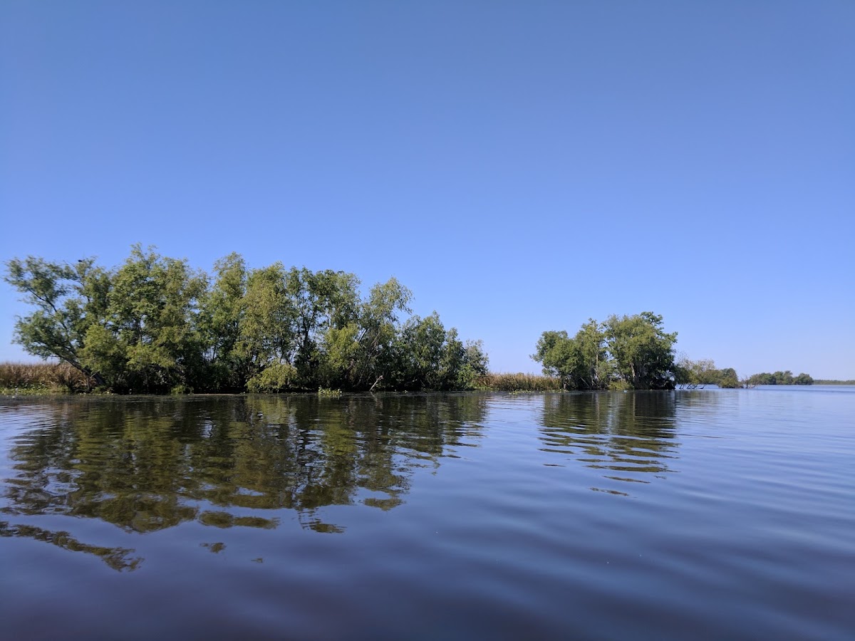 Lake Fields