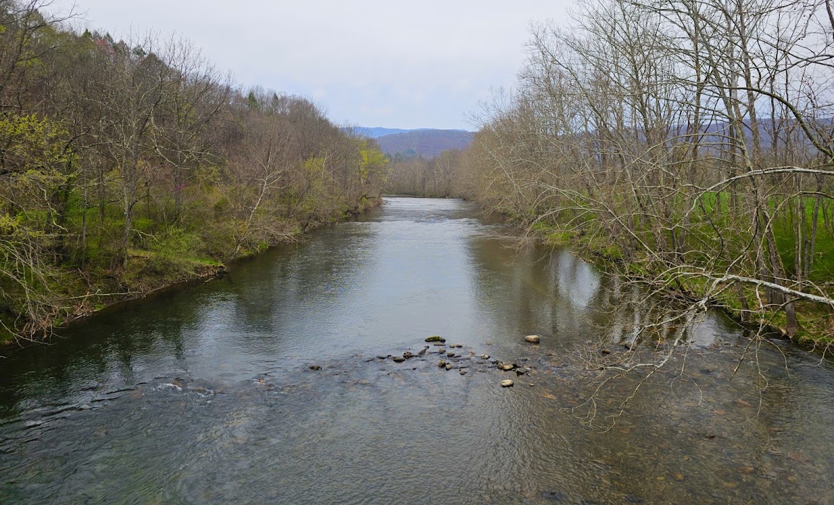 Jackson River