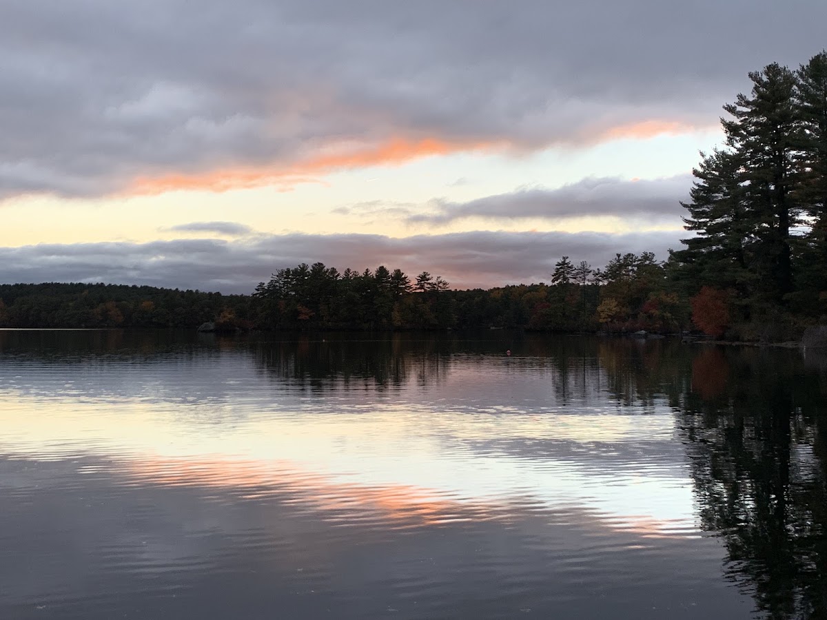Bare Hill Pond